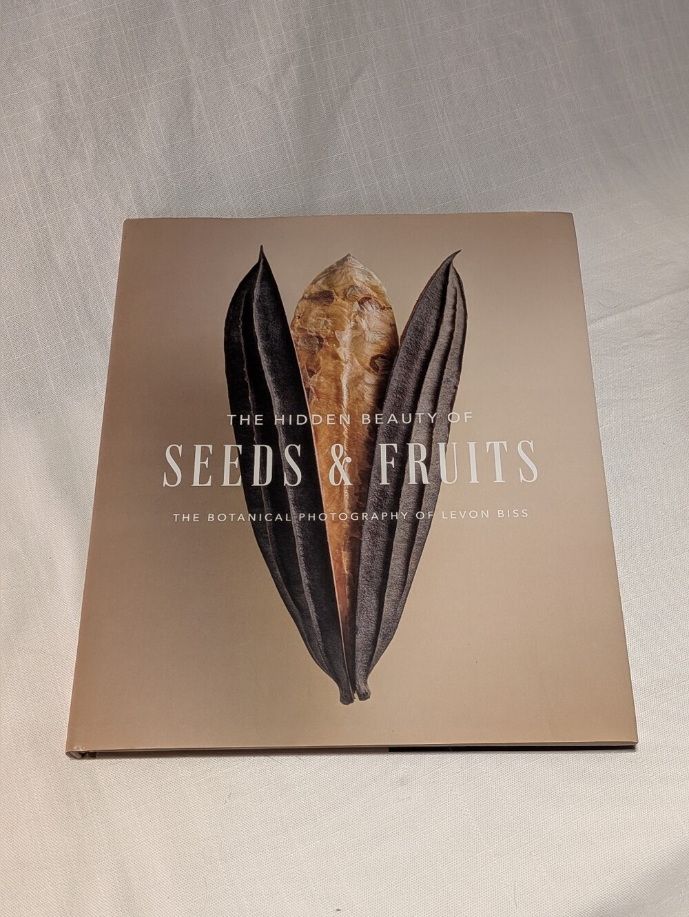 The Hidden Beauty Of Seeds And Fruits